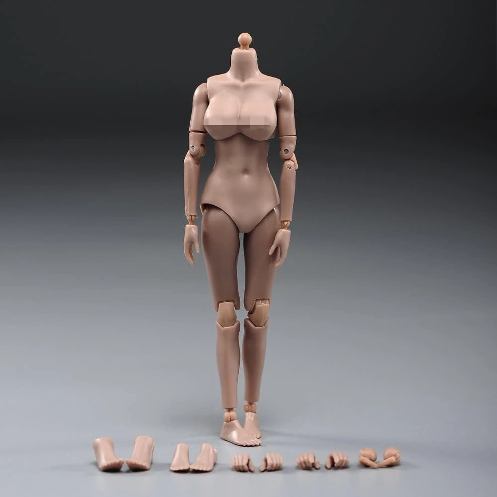 1/12 Scale Female Figure Body,6inch Female Joint Flexible Suntan Skin Action Figure Body Collectible (Mid Bust)