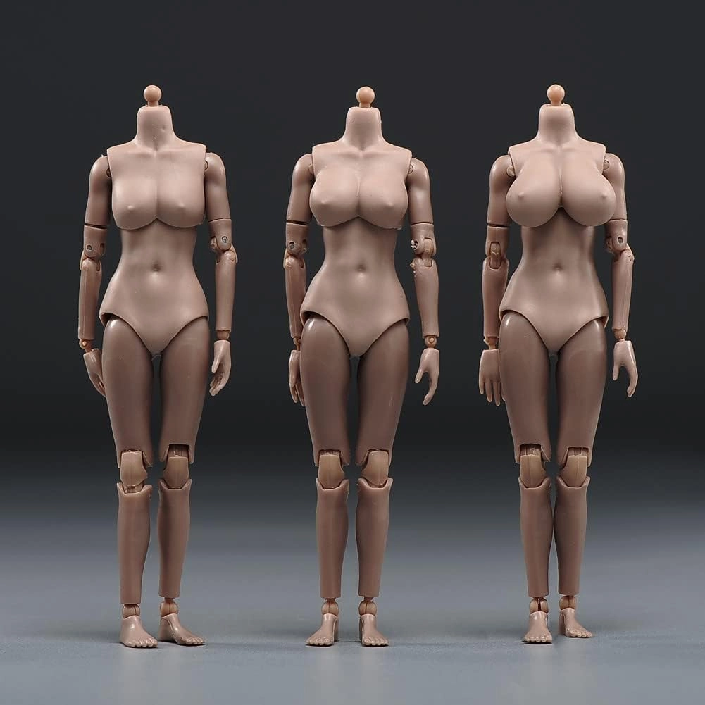 1/12 Scale Female Figure Body,6inch Female Joint Flexible Suntan Skin Action Figure Body Collectible (Mid Bust)