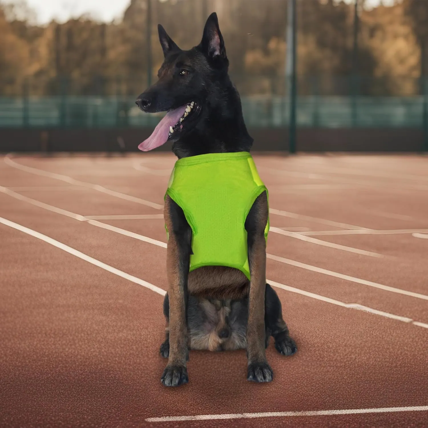 2 Pack Dog Shirts, Breathable Mesh Dog Clothes Pet Sleeveless Vest, Lightweight Stretchy Tank Top T-Shirts for Large Dogs, XL