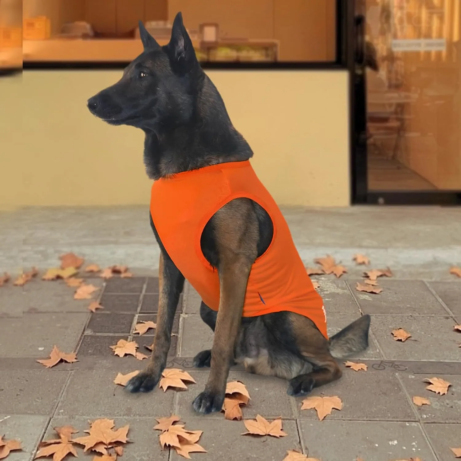 2 Pack Dog Shirts, Breathable Mesh Dog Clothes Pet Sleeveless Vest, Lightweight Stretchy Tank Top T-Shirts for Large Dogs, XL