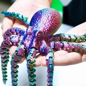 3D Printed Octopus,Articulated Models,Flexible Joint Animal Figurines, 3D Printing Stuff Cheap,Stress Relief, Fidget restlessness, ADHD Toys, Surprise Fantasy Gifts (Color) (RGB)