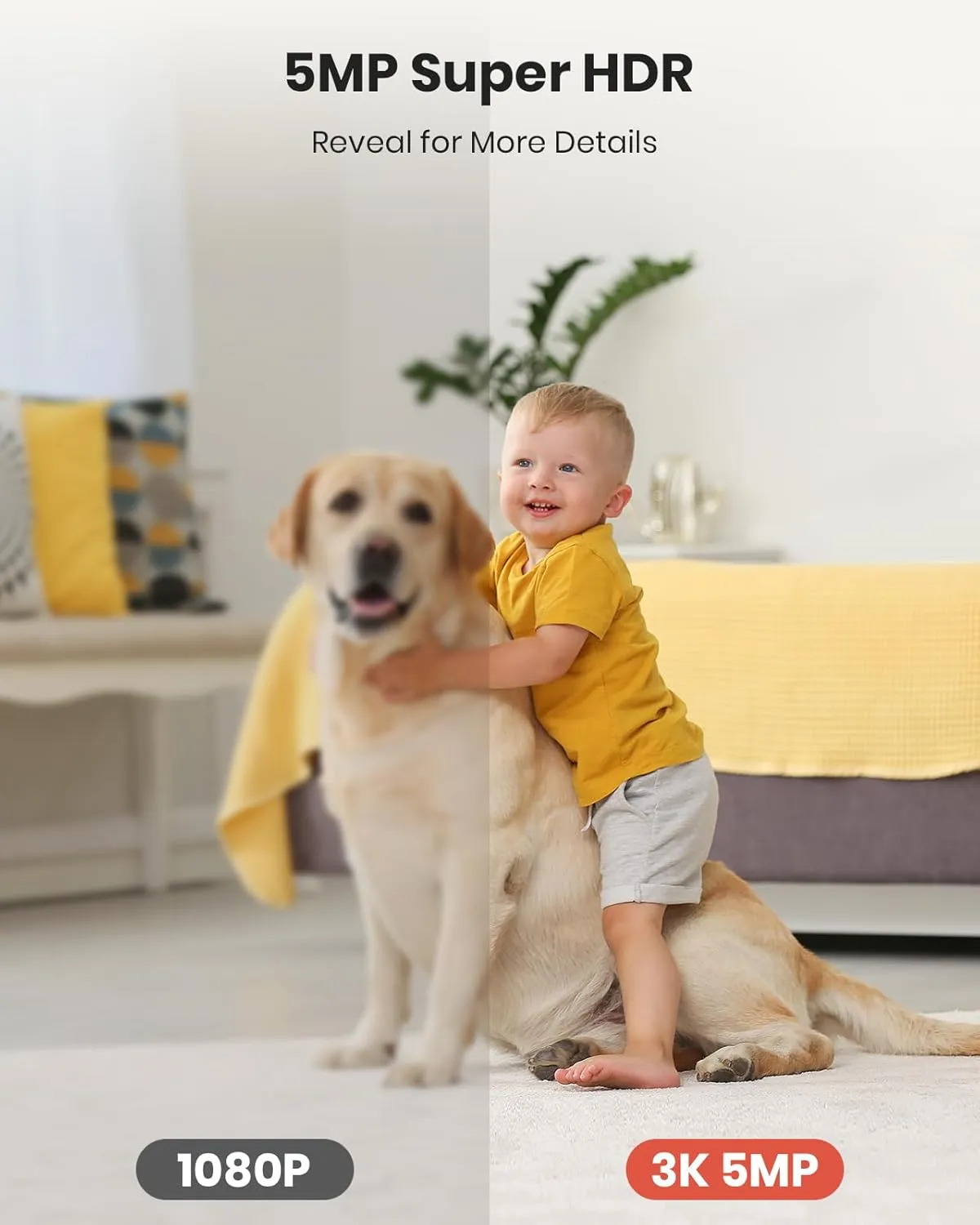 3K Security Camera Indoor,360° WiFi Camera for Home Security,Pan/Tilt,2.4/5 GHz Pet/dog/baby Camera with phone app,Night Vision, 2-Way Audio, 24/7,SD/Cloud Storage,Works with Alexa&Google Home