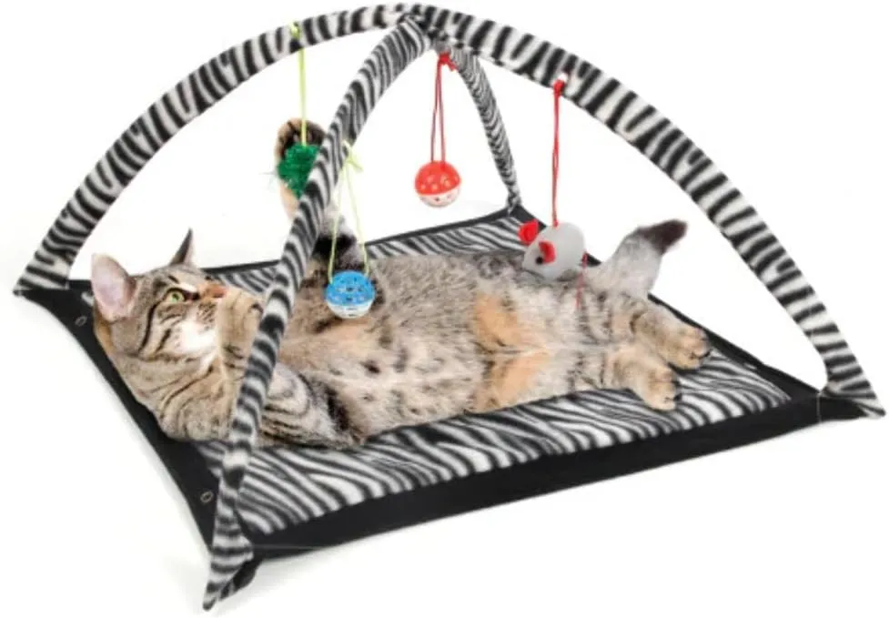 Cat Play Tent (Available in a Pack of 1)