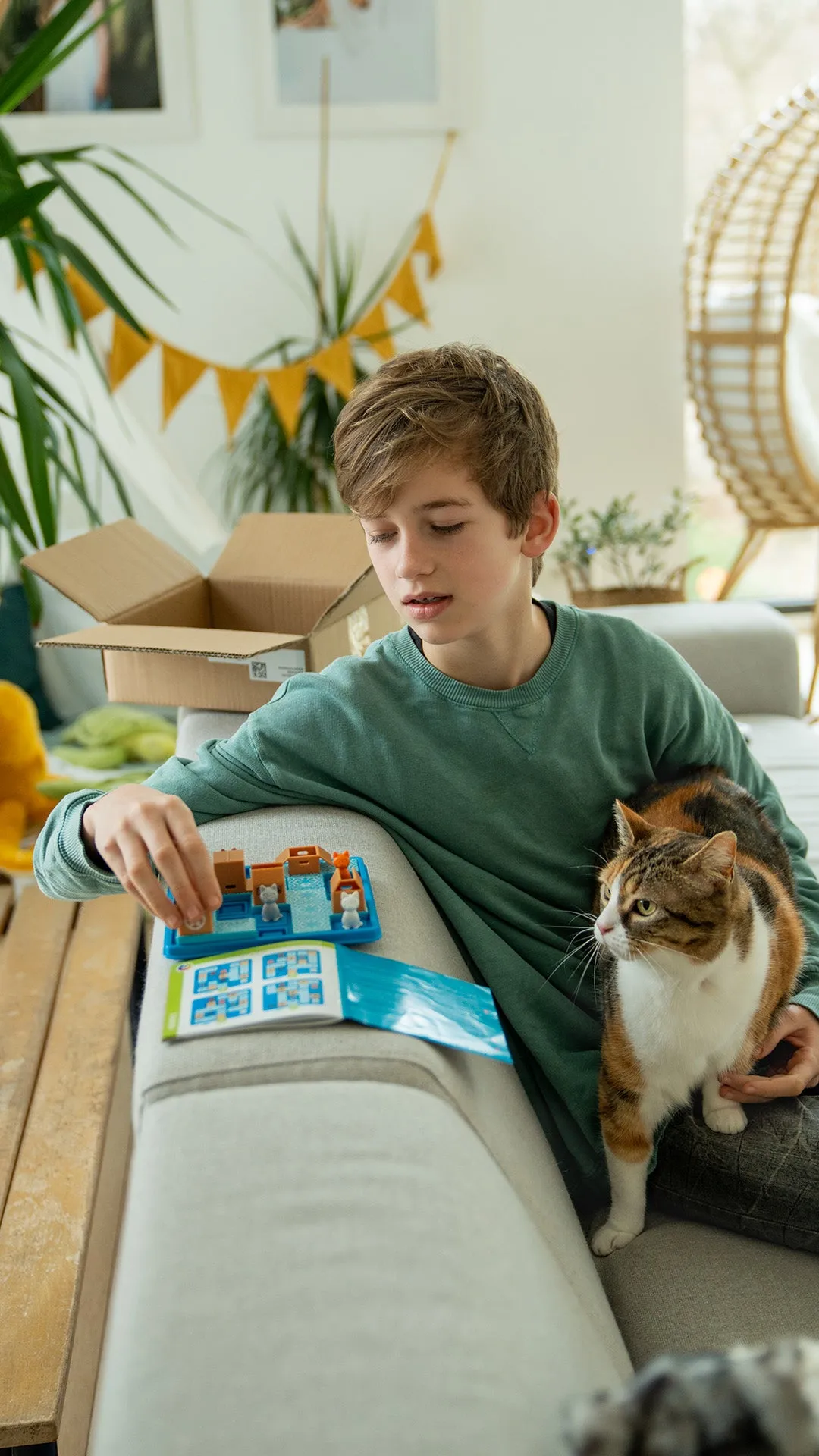 Cats & Boxes Game