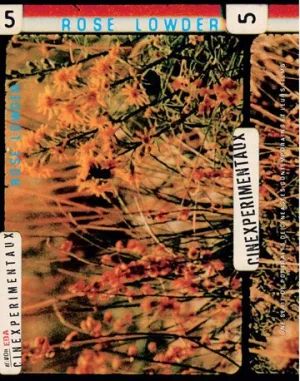 Cinexpérimentaux 5 : Rose Lowder ( Voiliers et coquelicots / Champ provençal / Bouquets écologiques 21-30 ) [ NON-USA FORMAT, PAL, Reg.0 Import - France ]
