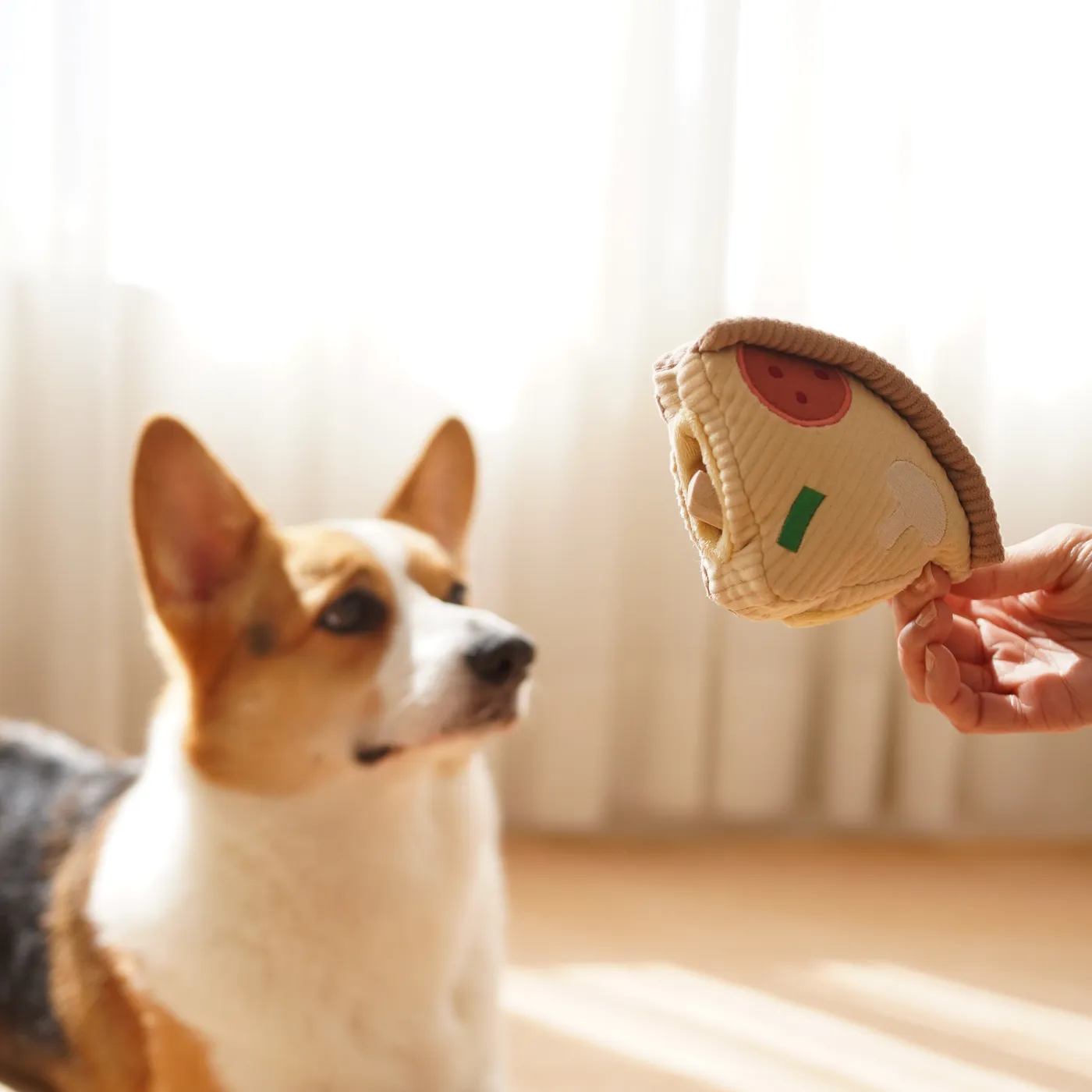 deep dish pizza enrichment toy