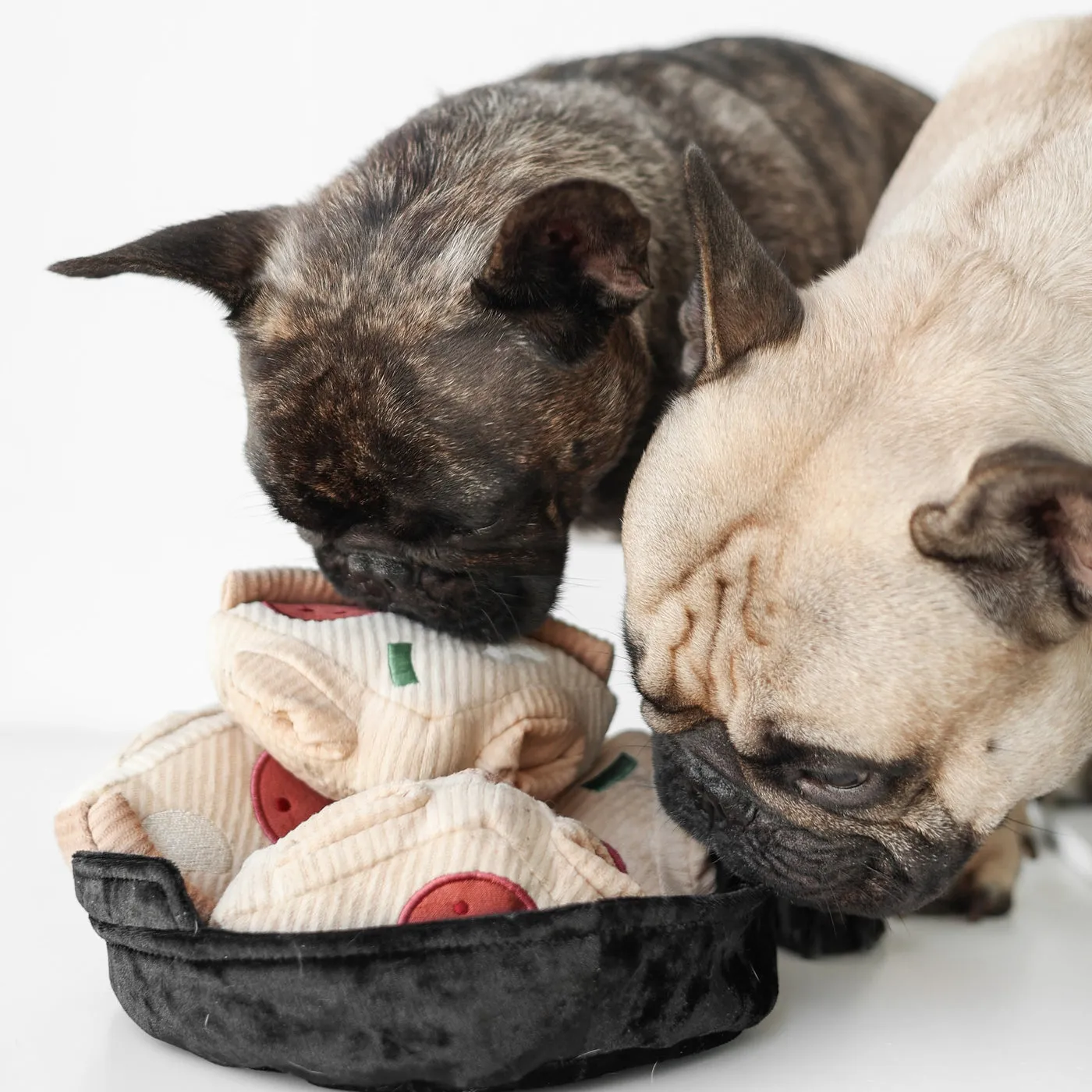 deep dish pizza enrichment toy