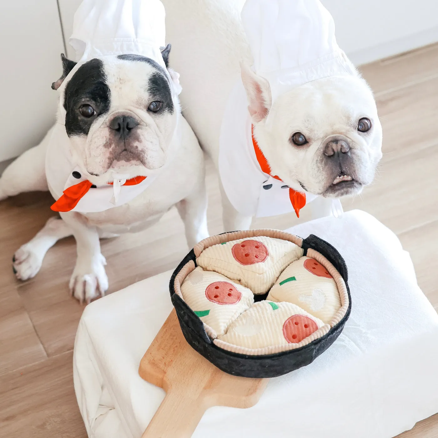 deep dish pizza enrichment toy