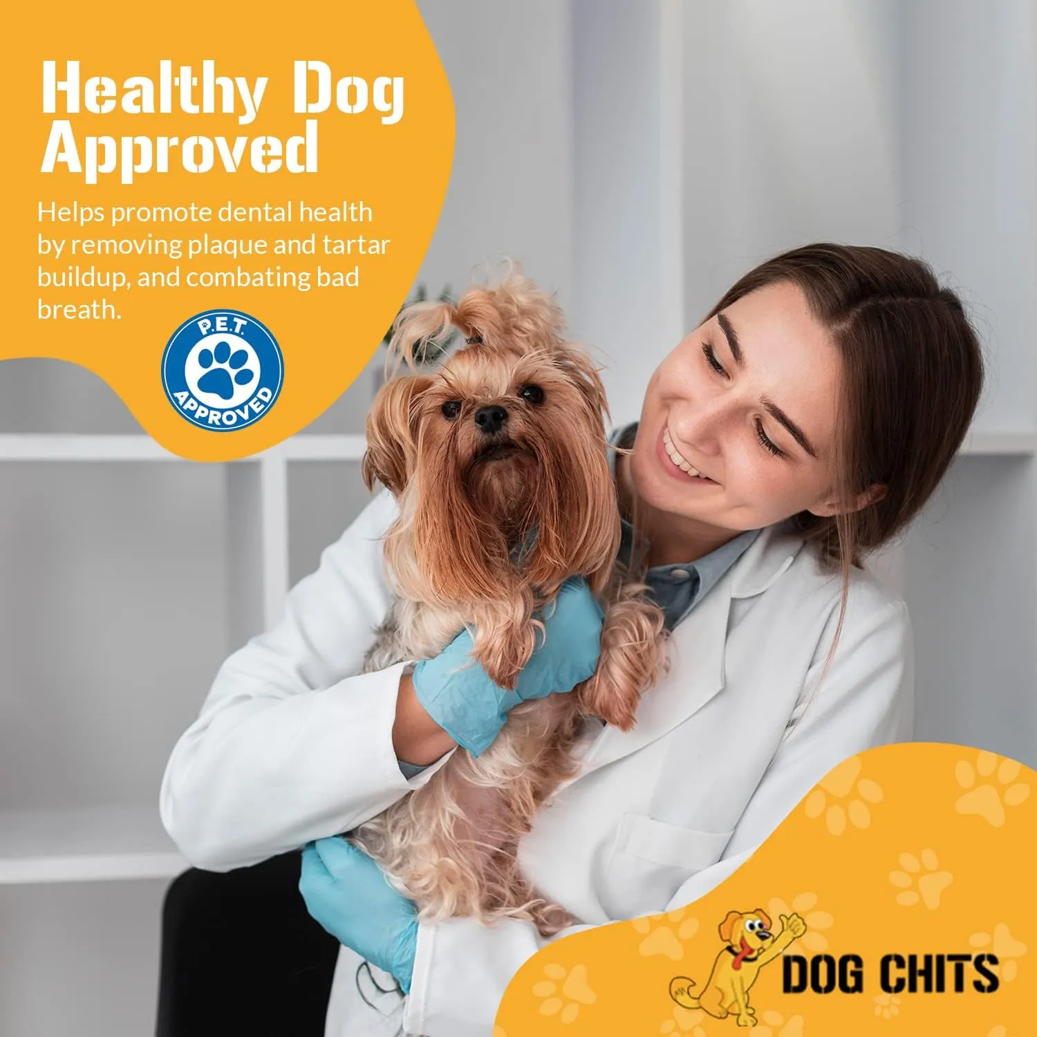 Dog Chits Lamb Bully Sticks for Dogs and Puppies | 8 oz (12 Pieces ) | Natural Healthy Long Lasting Chew for Large and Small Dogs Protein Treats | Odor Free