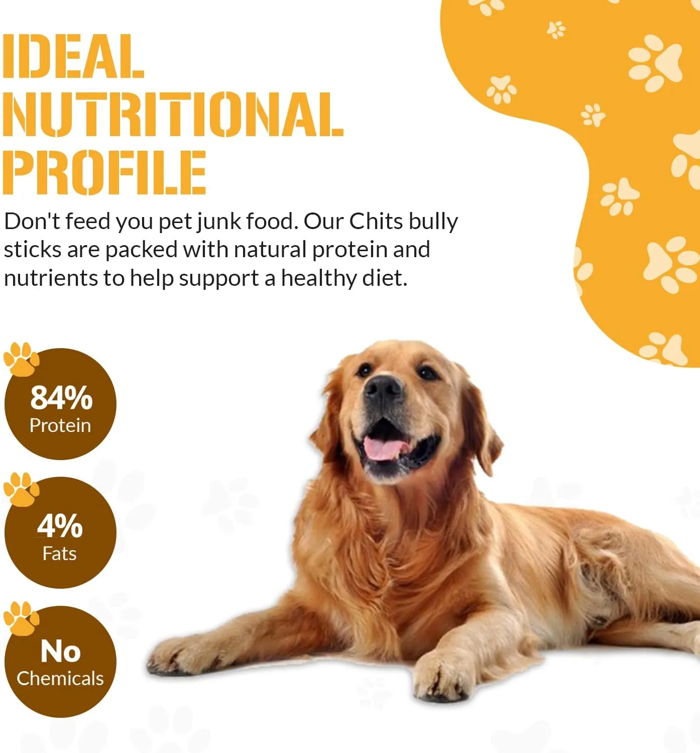 Dog Chits Lamb Bully Sticks for Dogs and Puppies | 8 oz (12 Pieces ) | Natural Healthy Long Lasting Chew for Large and Small Dogs Protein Treats | Odor Free
