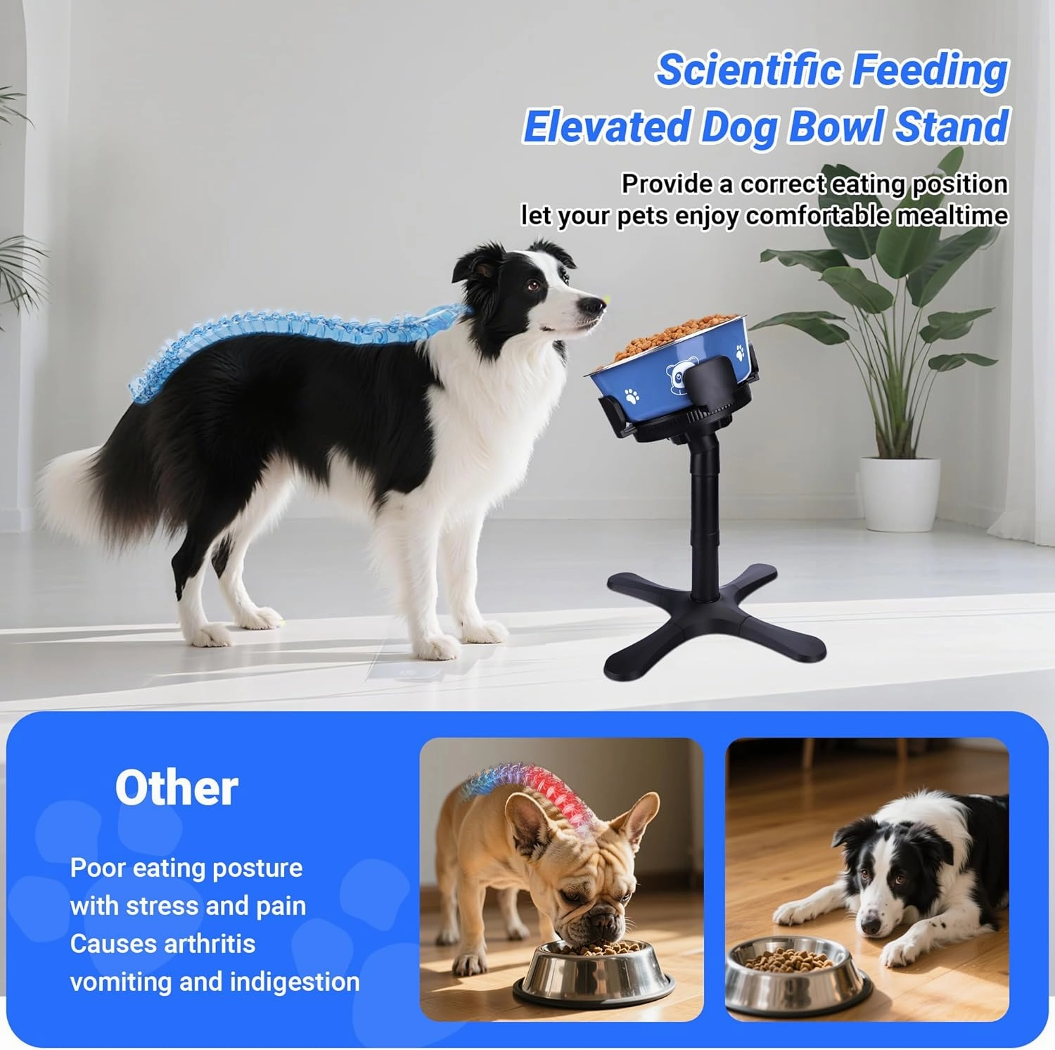 Dog Bowls,Elevated Adjustable Dog Bowl Stand with 3 Heights & Tilted Feeding Design, Raised Stand Compatible with Medium & Large Breeds (with Bowl)
