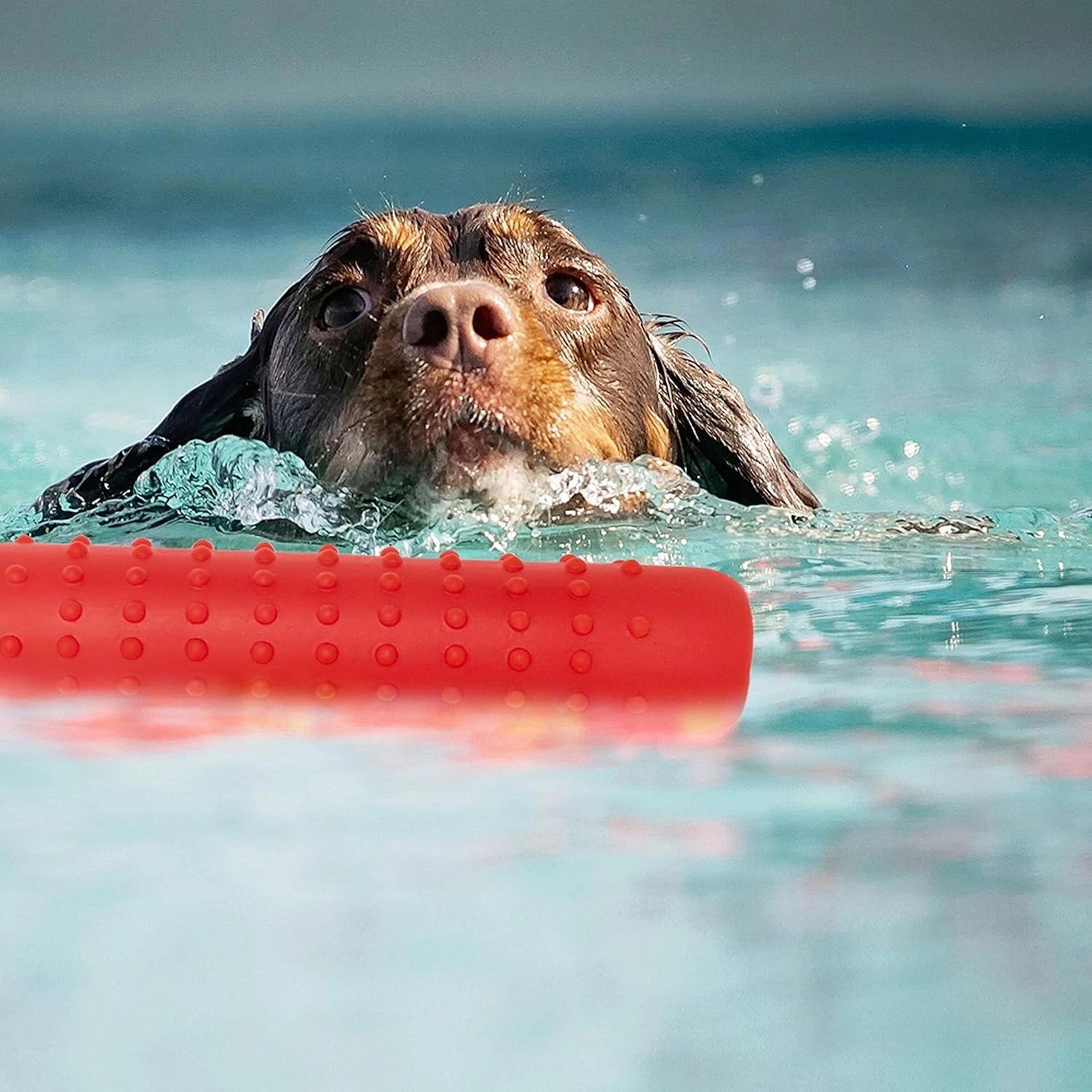 Dog Float Toy - Interactive Training Bumper & Fetching Retrieving Dog Water Toys Dummy Outdoor - Lightweight for Float on The Water Pool Fetch Rope Pet Toys for Small, Medium, Large Dogs