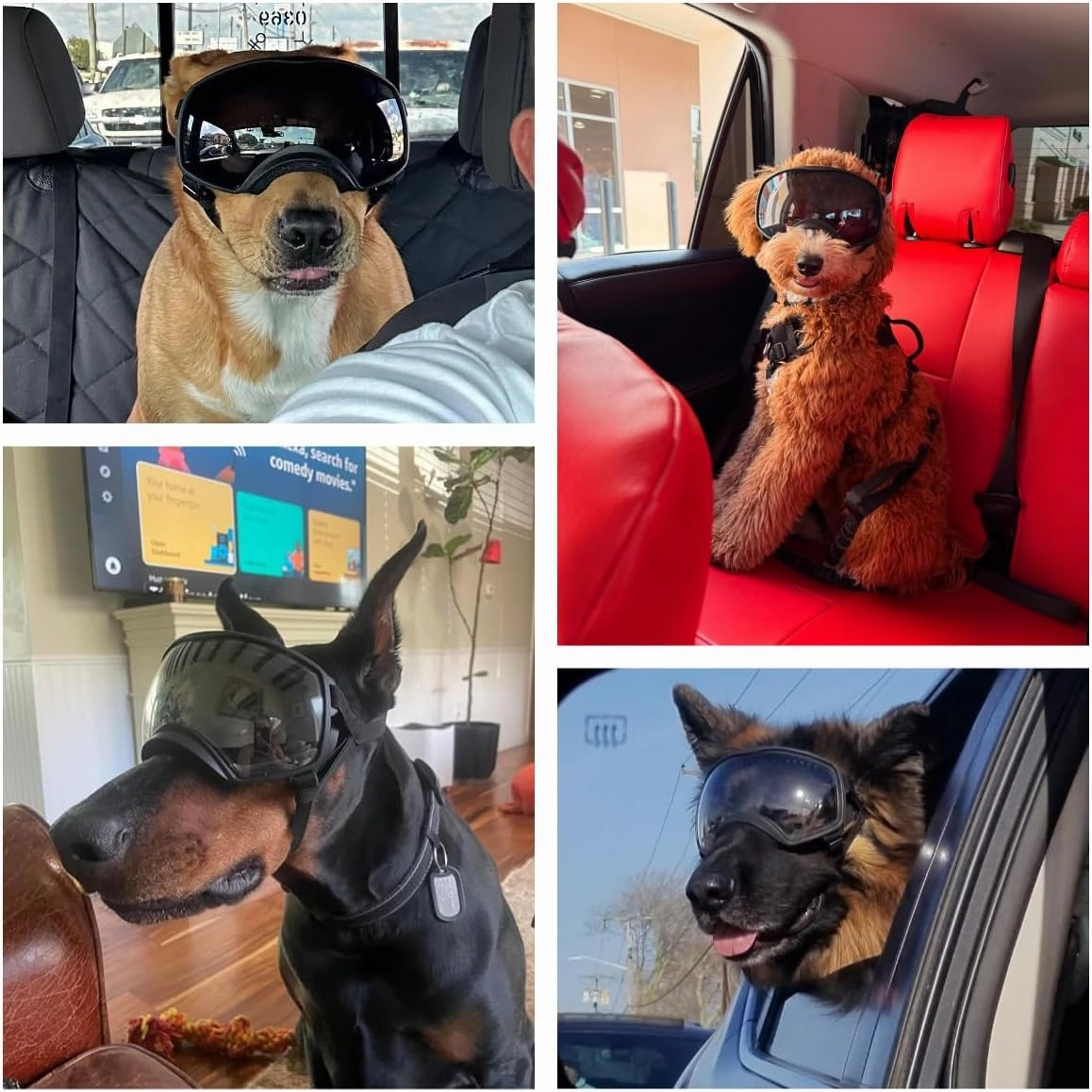 Dog Sunglasses UV Protection Clear Dog Goggles Windproof Glasses with Elastic Straps for Medium-Large Breed, Black Frame   Black Lens