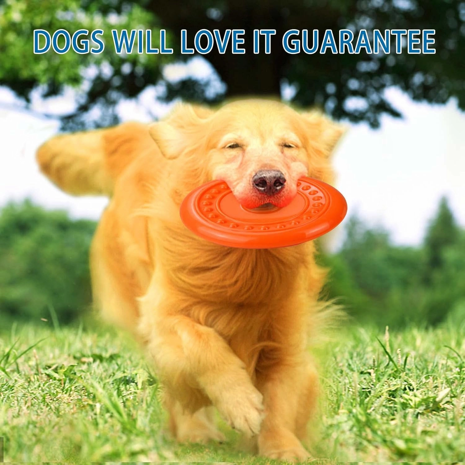 Durable Big Dog Toys - Flying Discs for Aggressive Chewers, Large, Medium & Small Dogs - Outdoor, Soft Rubber Gliding Discs