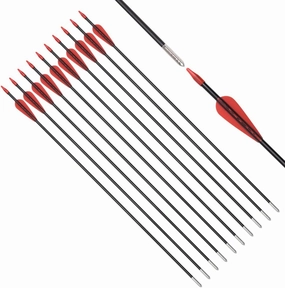 Fiberglass Arrows Archery 24 26 28 30 Inch Target Shooting Practice Safetyglass with Red Spots Vanes for Recurve Bows Suitable for Youth Children Woman Beginner 6/12 PCS