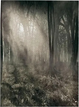 Gothic Theme,Puzzle Board,Portable Wooden Jigsaw Puzzle for Adults,Photo of Dark Scenery with Sunbeams and Fog,Birthday Gift for Family and Friends,Brown Plastic Box Storage 500PCS