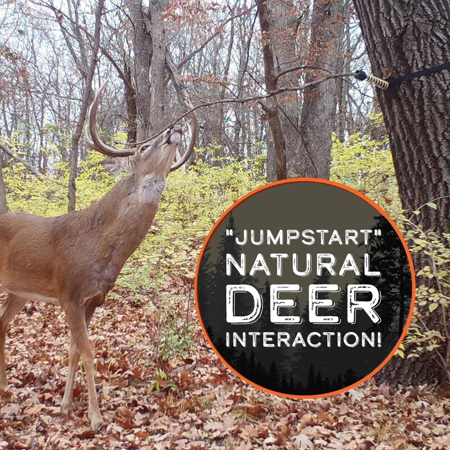HODAG AllSeason Scent (8 oz) | Jumpstart Deer Interaction | Deer Hunting Accessories | Deer Hunting Gear | Trail Camera Accessory | Bow Hunting Accessories | Deer Hunting Gifts | Deer Attractant