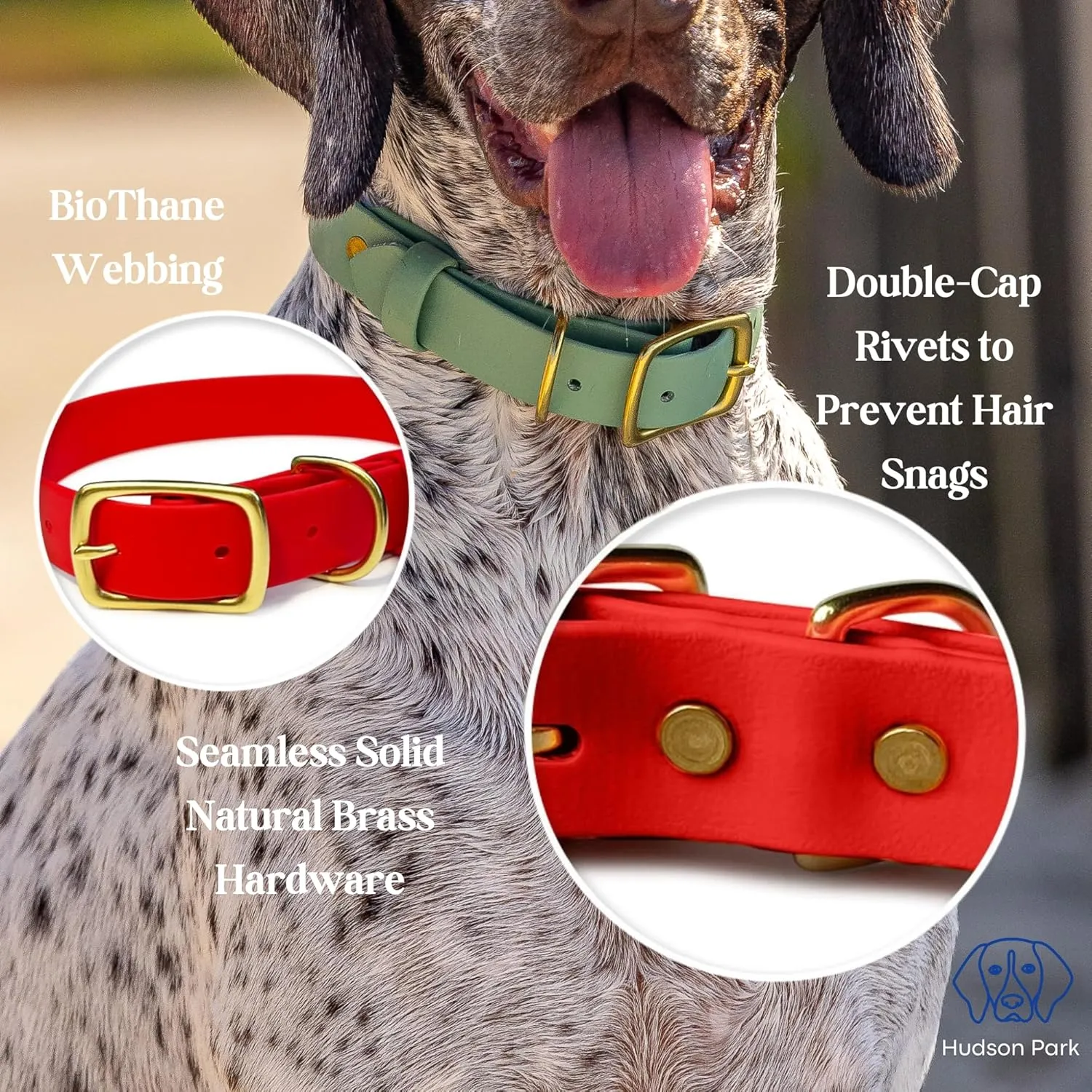 Hudson Park Dog Collar – Waterproof, BioThane Webbing, Leather-Like Feel, Adjustable, Easy-to-Clean, Odor-Resistant, Solid Brass, Multiple Colors and Sizes, Made in USA (Lilac, Large)