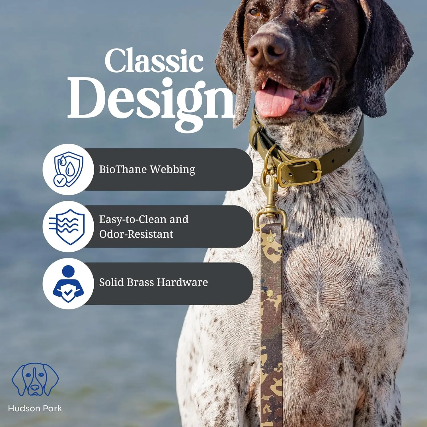 Hudson Park Dog Collar – Waterproof, BioThane Webbing, Leather-Like Feel, Adjustable, Easy-to-Clean, Odor-Resistant, Solid Brass, Multiple Colors and Sizes, Made in USA (Lilac, Large)