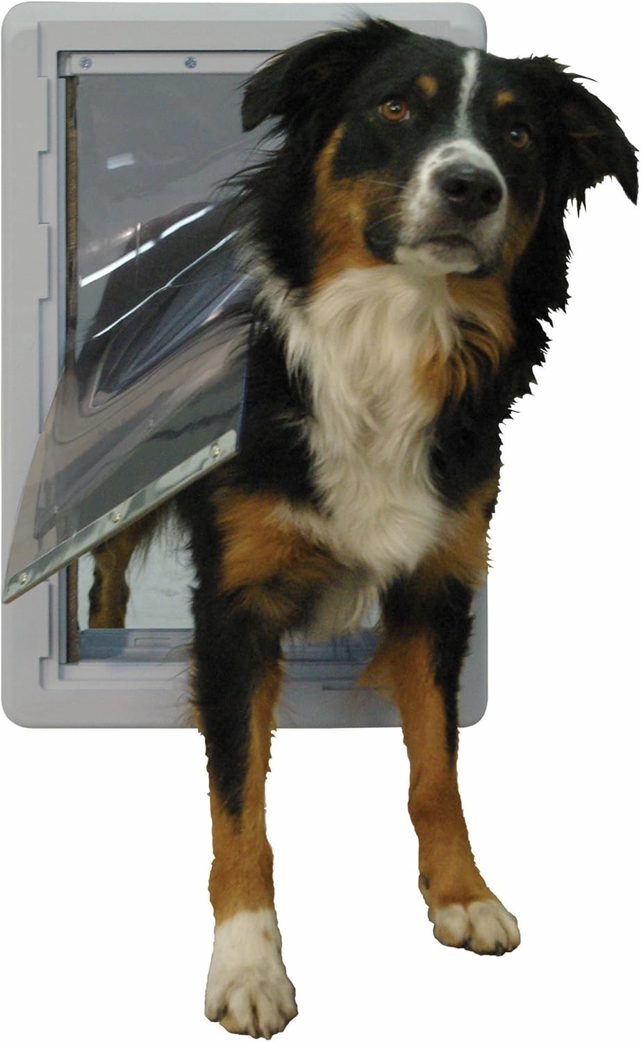 Ideal Pet Products Designer Series Ruff-Weather Pet Door with Telescoping Frame, Medium 7.25" x 13" Flap Size