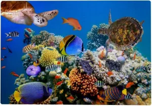 Jigsaw Puzzle for Kids Adults 1000 Piece Fish and TurtlerLarge Format Educational Puzzles Game Toys Gift Boredom Buster Artwork Home Wall Decor