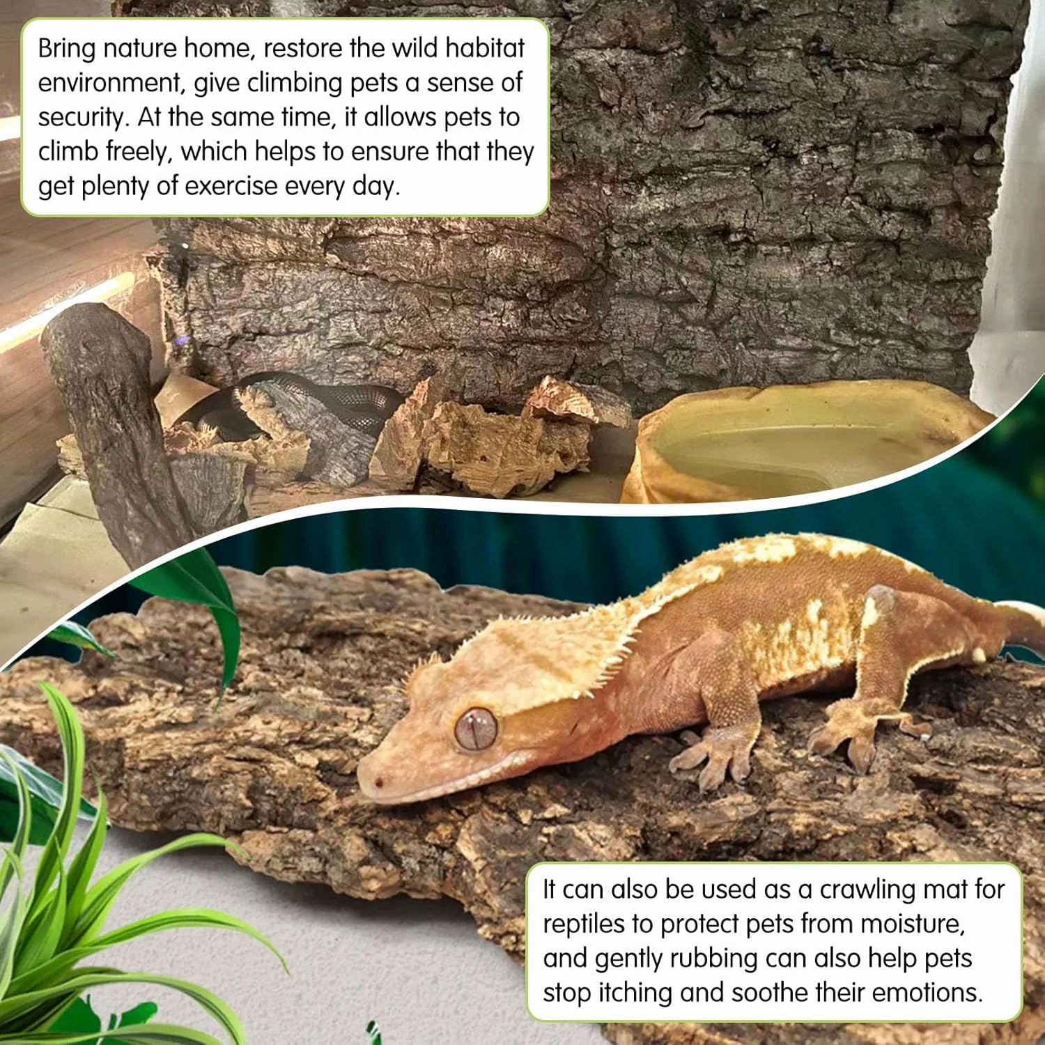 kathson 4PCS Cork Tile Background Bark 11.8”Lx7.9”W Reptile Tank Background Terrarium Backdrop Wall Decor Natural Reptile Climbing Mat for Spider Gecko Lizard Chameleon Bearded Dragon Turtle Snake