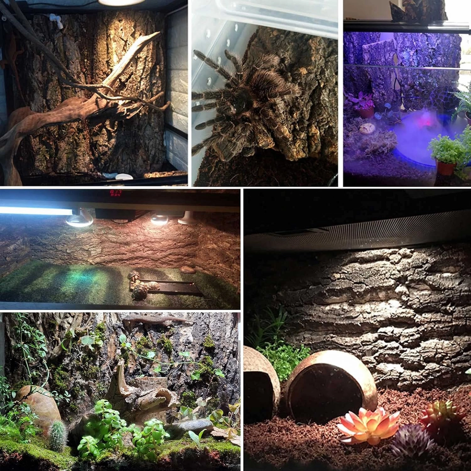kathson 4PCS Cork Tile Background Bark 11.8”Lx7.9”W Reptile Tank Background Terrarium Backdrop Wall Decor Natural Reptile Climbing Mat for Spider Gecko Lizard Chameleon Bearded Dragon Turtle Snake
