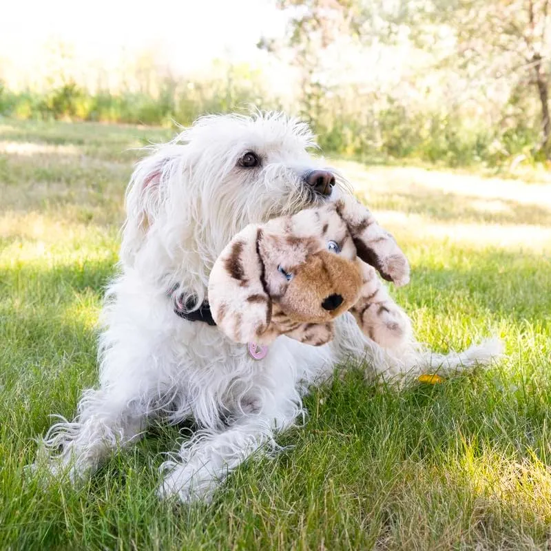 KONG Toughz Durable Plush Dog Toy - Long-Lasting Soft Chew Toy for Aggressive Chewers, Safe & Interactive for Dogs (Pup)
