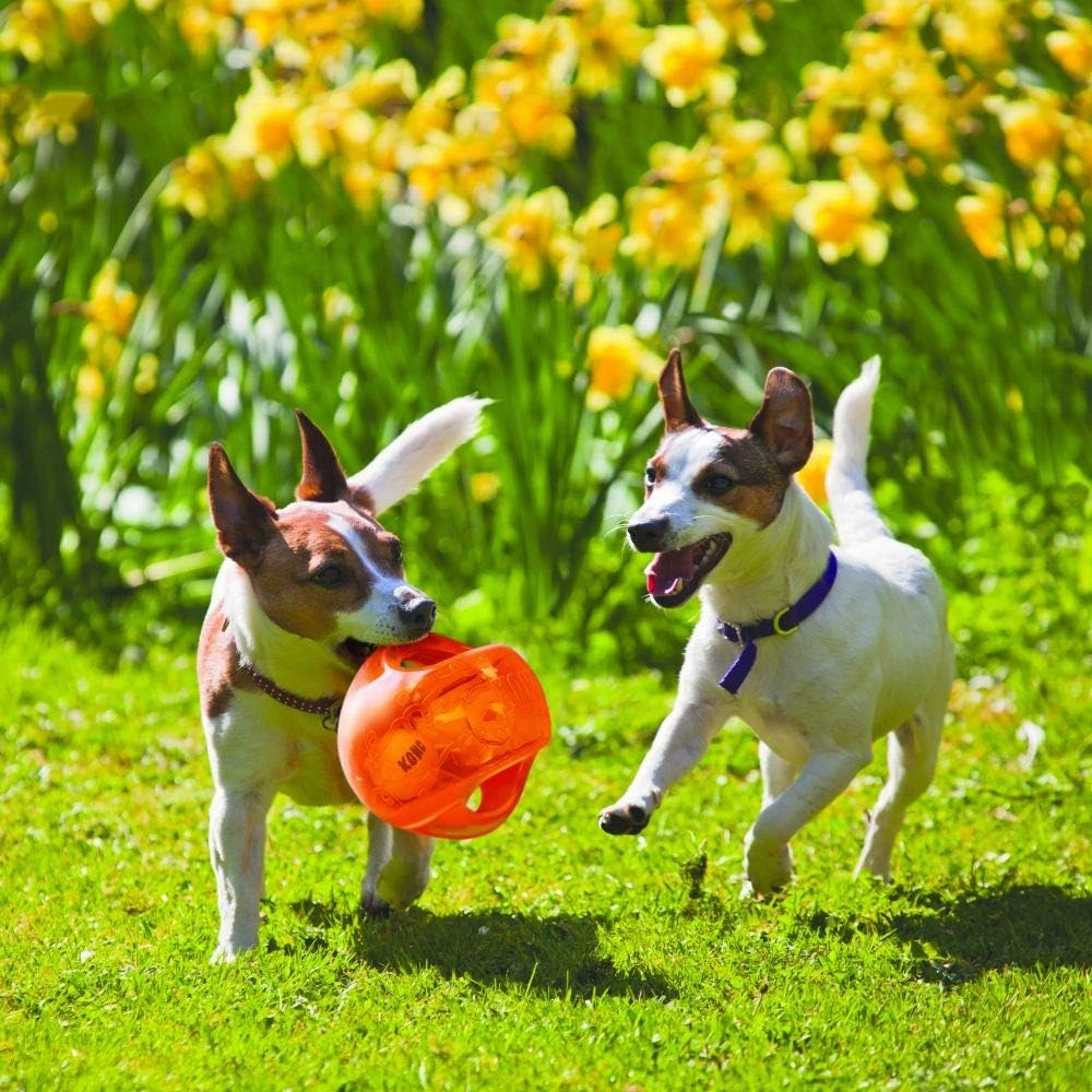 KONG Jumbler Ball - Interactive Toy for Dog & Puppy Playtime - Fetch Toy with Tennis Ball - Dog Supplies for Engaging Play - for Large/XL Dogs - Randomly Provided Color