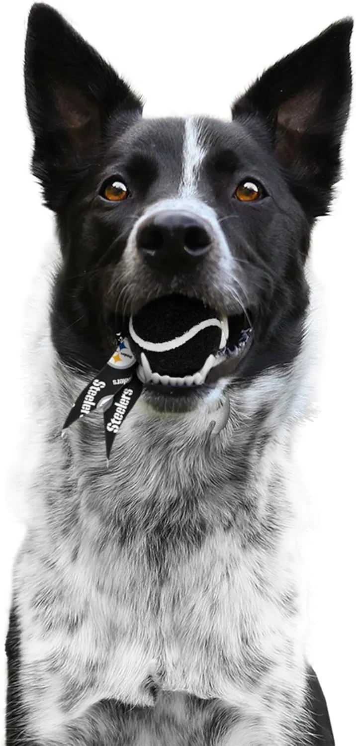 Littlearth NFL Pet Ball Launcher