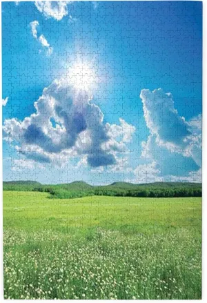 Meadow,Portable Wooden Jigsaw Puzzle for Adults,Spring Landscape with Meadow,Birthday Gift for Family and Friends,Green Blue Plastic Box Storage 1000PCS