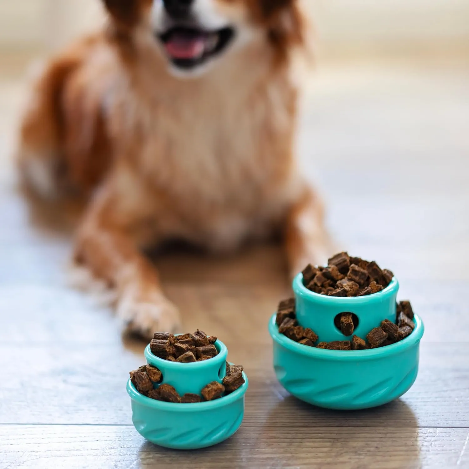 Messy Mutts Totally Pooched Puzzle 'n Play Mushroom | Interactive Treat Puzzle Toy for Dogs | Durable 4” x 3.5” TPR Dog Toy | Teal