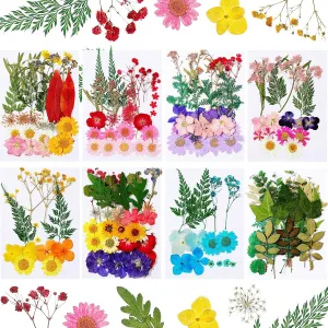 Nuanchu 200 Pieces Real Dried Pressed Flowers Resin Flowers for Resin Mold Real Daisy Dried Flower Leaves for Scrapbooking DIY Candle Accessories Jewelry Crafts Making(Multicolor)