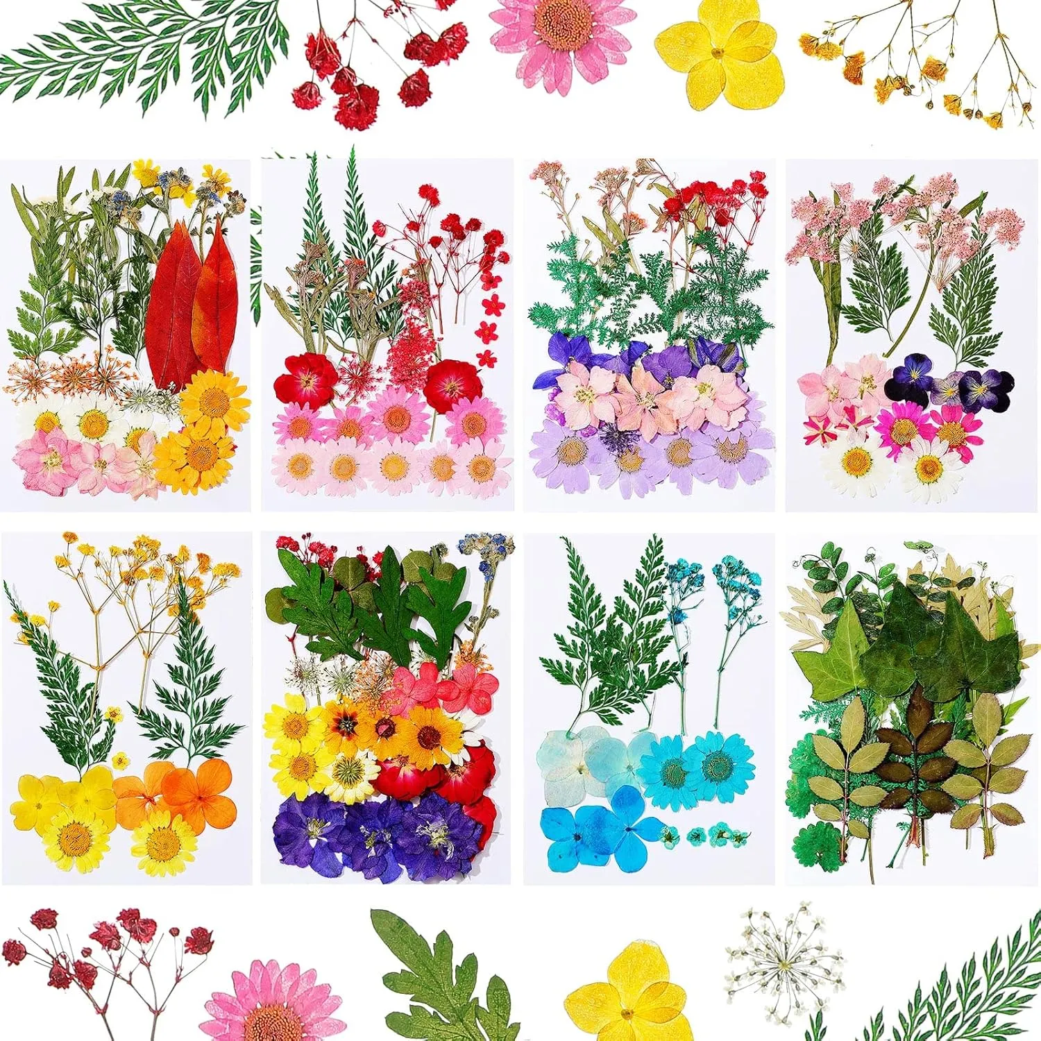 Nuanchu 200 Pieces Real Dried Pressed Flowers Resin Flowers for Resin Mold Real Daisy Dried Flower Leaves for Scrapbooking DIY Candle Accessories Jewelry Crafts Making(Multicolor)