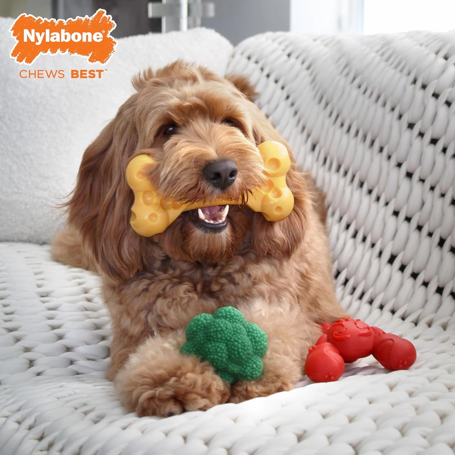 Nylabone Power Chew Toy Bundle, Cute Dog Toys for Aggressive Chewers, Filet Mignon, Cheese, and Bacon Flavors, Large Dogs - Up to 50 lbs, 3 Pack