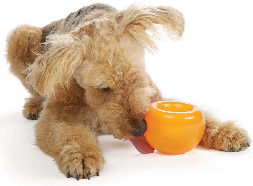 Outward Hound by Planet Dog Snoop Durable Interactive Treat Dispensing Dog Toy, Large, Orange