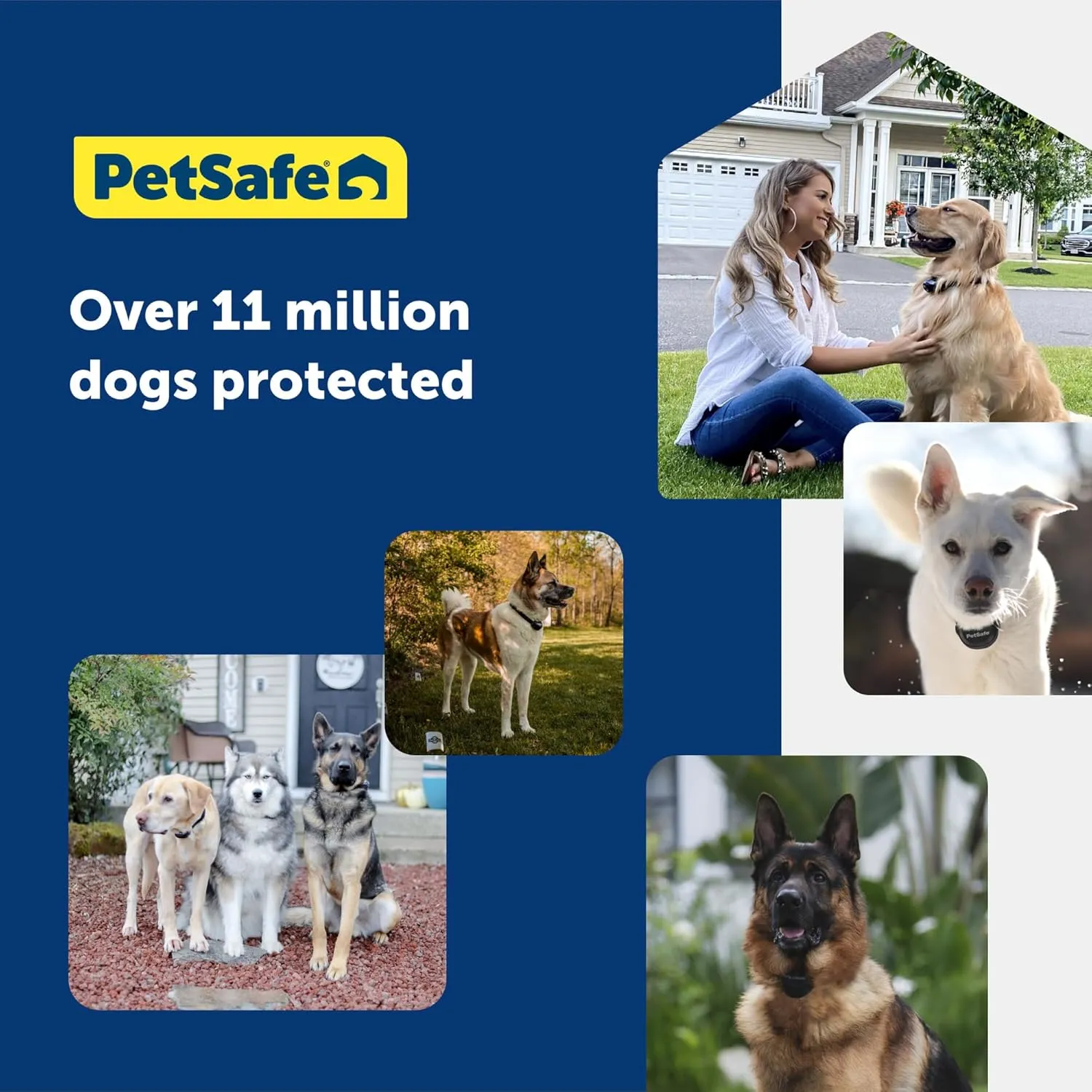 PetSafe Underground Dog Fence Wire (500 Foot) Create Your PetSafe Boundary, Electric Dog Fence Wire (Yellow) - from The Parent Company of IFB