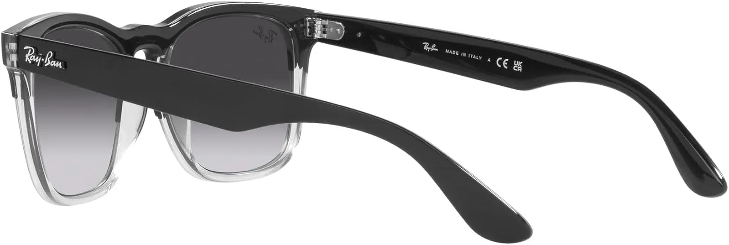Ray-Ban RB4487 Steve Square Sunglasses