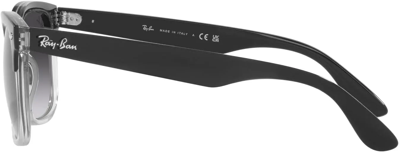 Ray-Ban RB4487 Steve Square Sunglasses