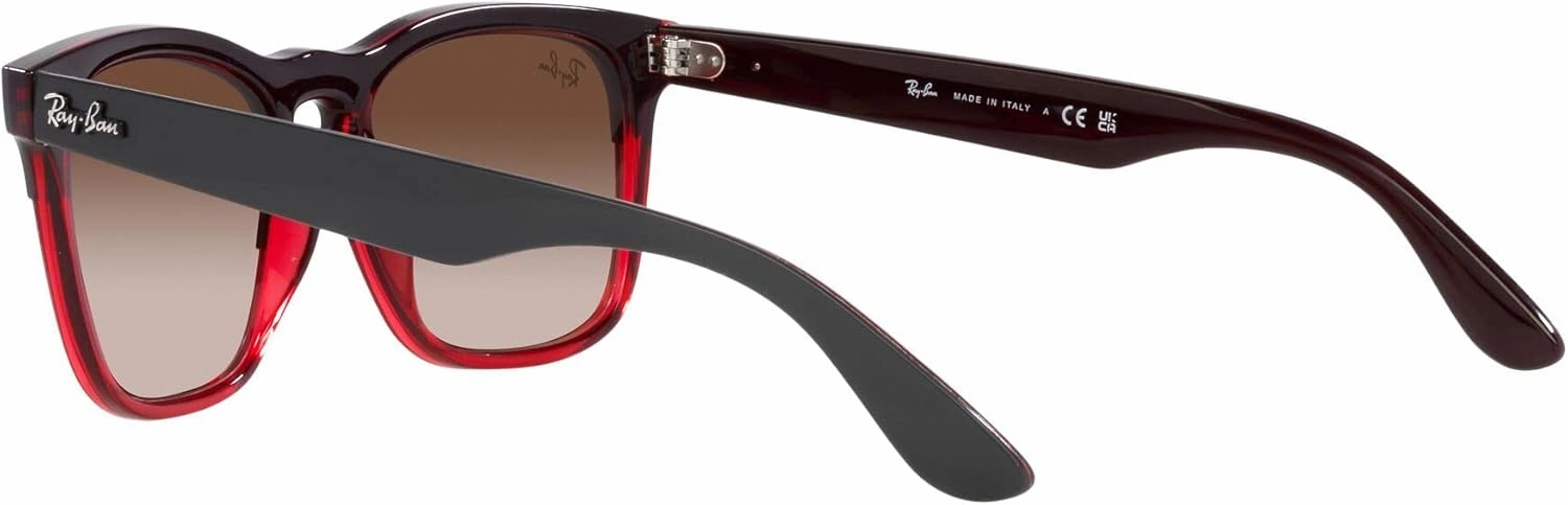 Ray-Ban RB4487 Steve Square Sunglasses