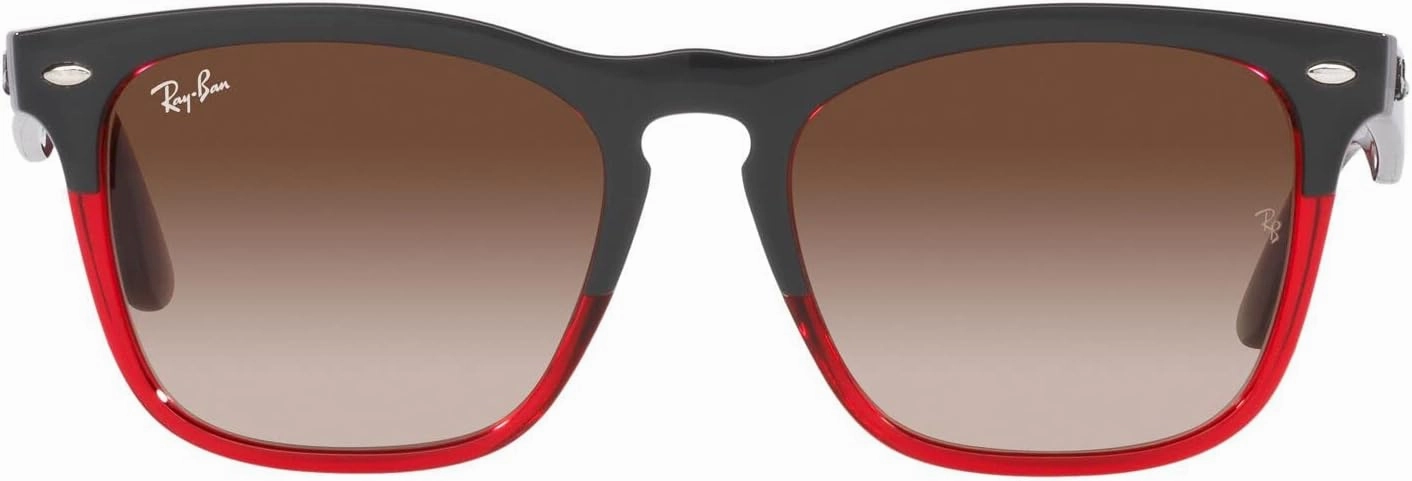 Ray-Ban RB4487 Steve Square Sunglasses