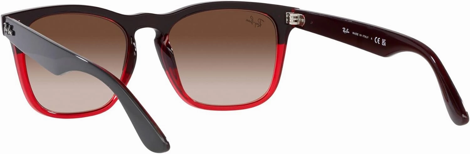 Ray-Ban RB4487 Steve Square Sunglasses