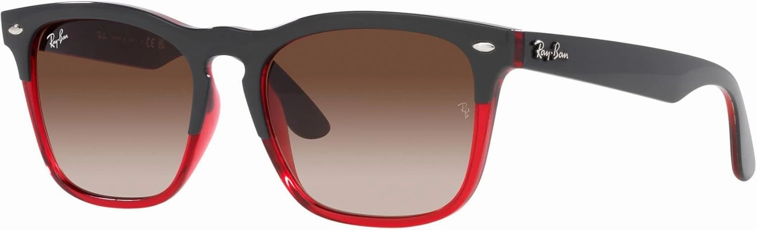 Ray-Ban RB4487 Steve Square Sunglasses