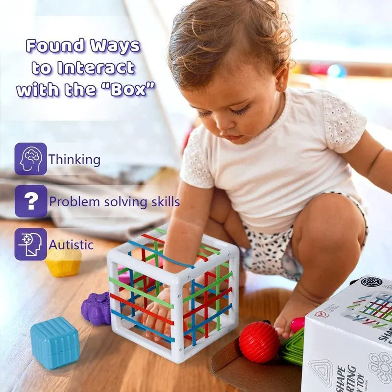 Shape Sorter Montessori Toys (1-3 Years)