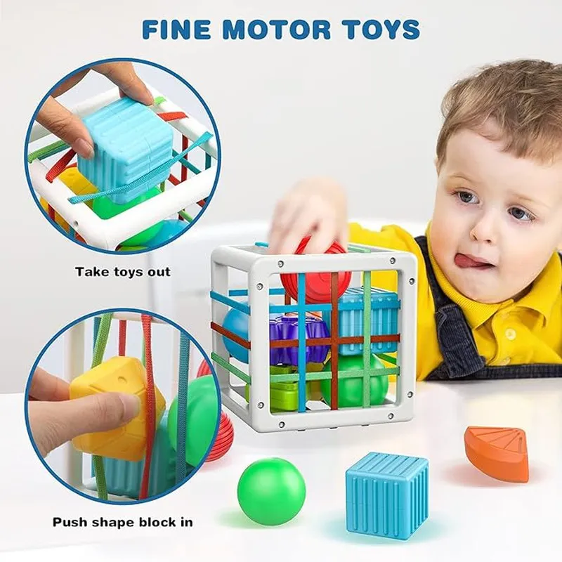 Shape Sorter Montessori Toys (1-3 Years)