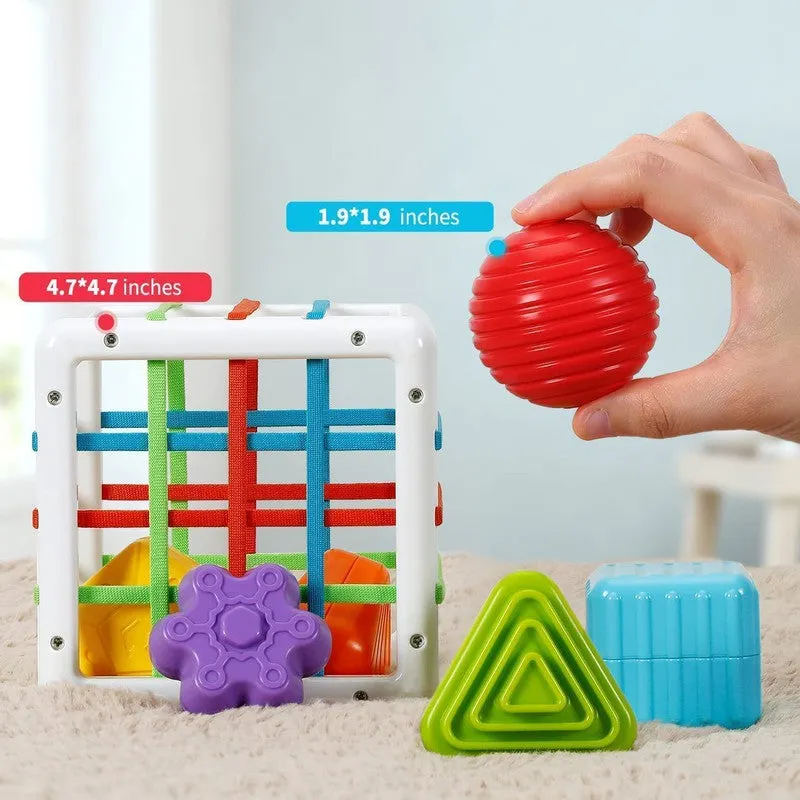 Shape Sorter Montessori Toys (1-3 Years)