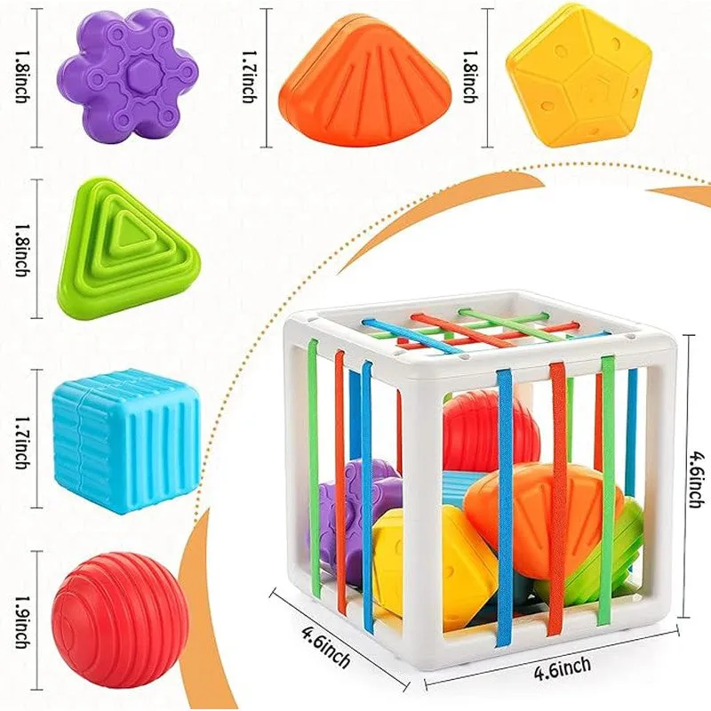 Shape Sorter Montessori Toys (1-3 Years)