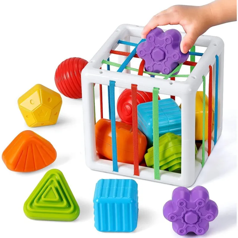 Shape Sorter Montessori Toys (1-3 Years)