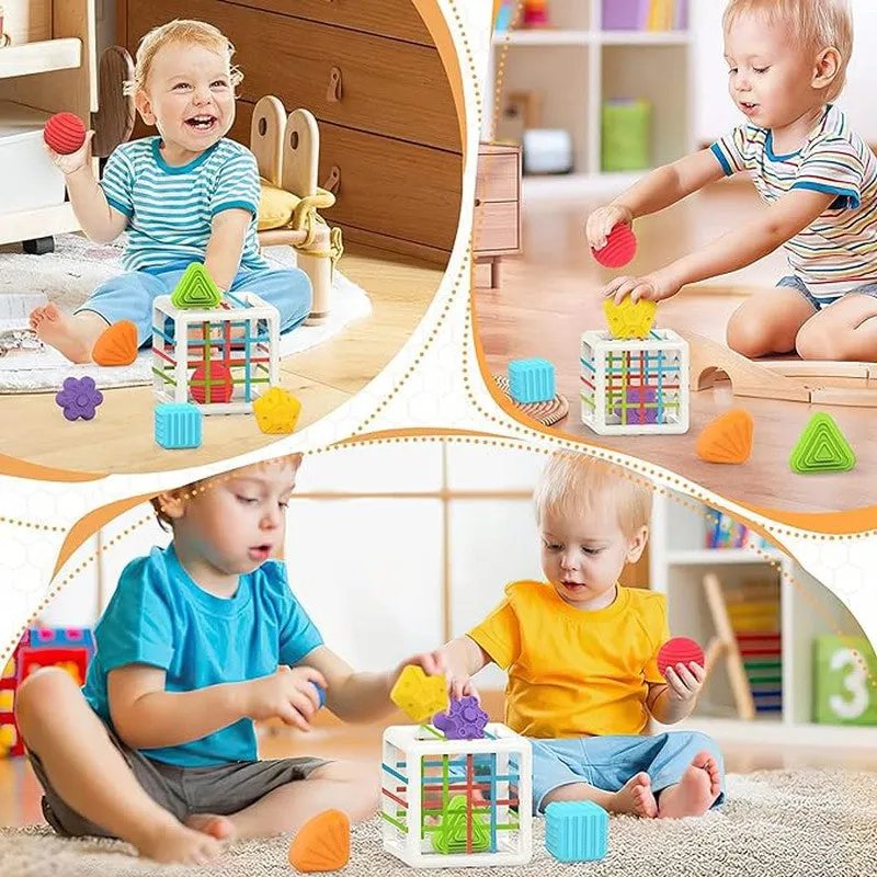 Shape Sorter Montessori Toys (1-3 Years)
