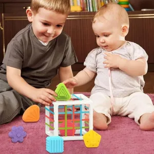 Shape Sorter Montessori Toys (1-3 Years)
